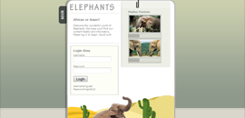 elephants website image