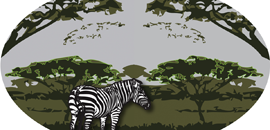 Zebra Illustration